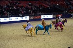 Quadrille - 00565